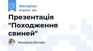 Презентація "Походження свиней"