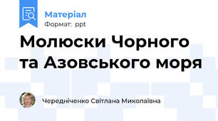 Молюски Чорного та Азовського моря