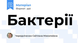 Бактерії