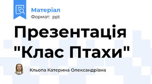 Презентація "Клас Птахи"