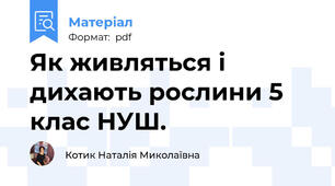 Як живляться і дихають рослини 5 клас НУШ.