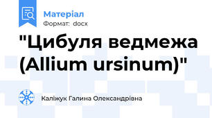 "Цибуля ведмежа (Allium ursinum)"