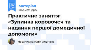Практичне заняття: «Зупинка коровочеч та надання першої домедичної допомоги»