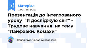 Презентація до інтегрованого уроку  "Я досліджую світ" - Трудове навчання  на тему "Лайфхаки. Комахи"