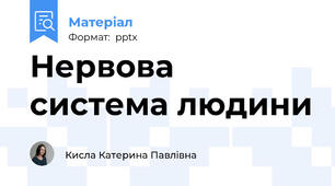 Нервова система людини