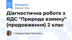 Діагностична робота з ЯДС "Природа взимку" (продовження) 2 клас