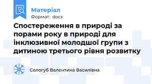 Спостереження в природі за порами року в природі для інклюзивної молодшої групи з дитиною третього рівня розвитку