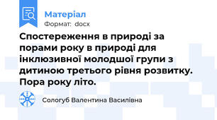 Спостереження в природі за порами року в природі для інклюзивної молодшої групи з дитиною третього рівня розвитку. Пора року літо.