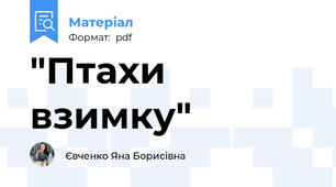 "Птахи взимку"