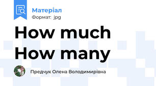 How much How many
