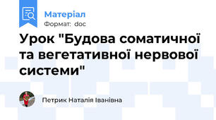 Урок "Будова соматичної та вегетативної нервової системи"