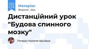 Дистанційний урок "Будова спинного мозку"