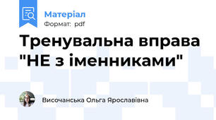 Тренувальна вправа "НЕ з іменниками"