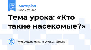 Тема урока: «Кто такие насекомые?»