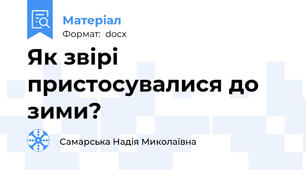 Як звірі пристосувалися до зими?