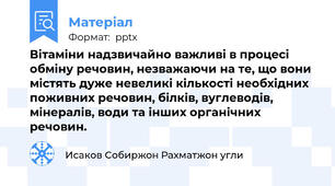 Вітаміни надзвичайно важливі в процесі обміну речовин, незважаючи на те, що вони містять дуже невеликі кількості необхідних поживних речовин, білків, вуглеводів, мінералів, води та інших органічних речовин.