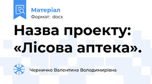 Назва проекту: «Лісова аптека».