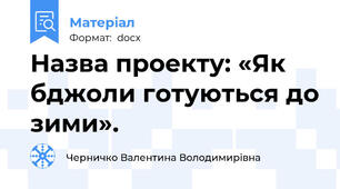 Назва проекту: «Як бджоли готуються до зими».