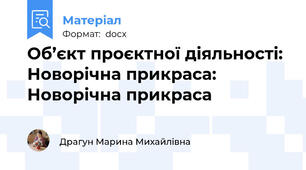 Об’єкт проєктної діяльності: Новорічна прикраса: Новорічна прикраса