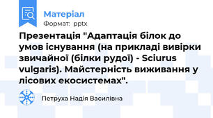 Презентація "Адаптація білок до умов існування (на прикладі вивірки звичайної (білки рудої) - Sciurus vulgaris). Майстерність виживання у лісових екосистемах".
