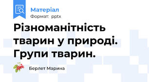 Різноманітність тварин у природі. Групи тварин.