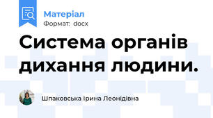Система органів дихання людини.