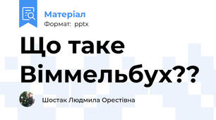 Що таке Віммельбух??