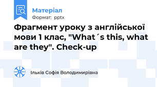 Фрагмент уроку з англійської мови 1 клас, "What´s this, what are they". Check-up