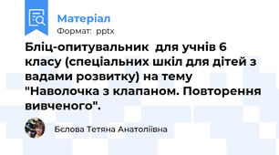 Бліц-опитувальник  для учнів 6 класу (спеціальних шкіл для дітей з вадами розвитку) на тему "Наволочка з клапаном. Повторення вивченого".