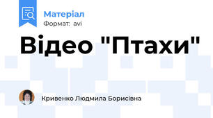 Відео "Птахи"