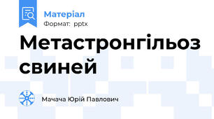 Метастронгільоз свиней