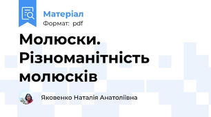 Молюски. Різноманітність молюсків