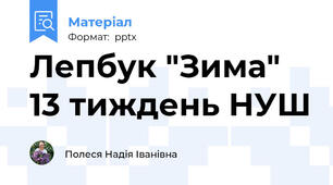 Лепбук "Зима" 13 тиждень НУШ