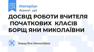 ДОСВІД РОБОТИ ВЧИТЕЛЯ  ПОЧАТКОВИХ  КЛАСІВ БОРЩ ЯНИ МИКОЛАЇВНИ