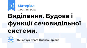 Виділення. Будова і функції сечовидільної системи.