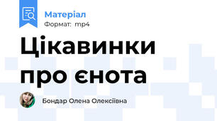 Цікавинки про єнота