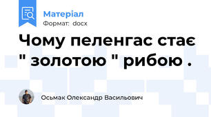 Чому пеленгас стає " золотою " рибою .