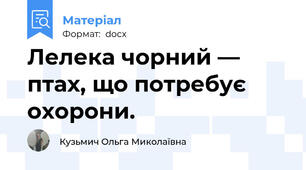 Лелека чорний — птах, що потребує охорони.