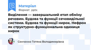 Виділення — завершальний етап обміну речовин. Будова та функції сечовидільної системи. Будова та функції нирок. Нефрон як структурно-функціональна одиниця нирок