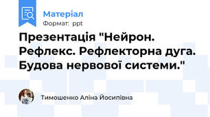 Презентація "Нейрон. Рефлекс. Рефлекторна дуга. Будова нервової системи."