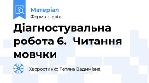 Діагностувальна робота 6.  Читання мовчки