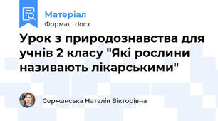 Урок з природознавства для учнів 2 класу "Які рослини називають лікарськими"