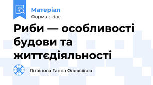 Риби — особливості будови та життєдіяльності