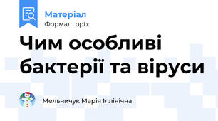 Чим особливі бактерії та віруси