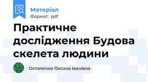 Практичне дослідження Будова скелета людини