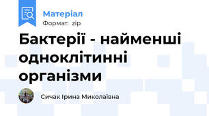 Бактерії - найменші одноклітинні організми