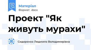 Проект "Як живуть мурахи"