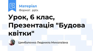 Урок, 6 клас, Презентація "Будова квітки"