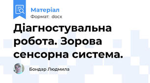 Діагностувальна робота. Зорова сенсорна система.