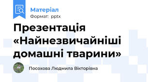 Презентація  «Найнезвичайніші домашні тварини»
